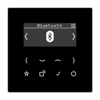 Jung DAB LS BT SW Смарт радио DAB+ Bluetooth