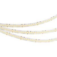 Arlight 037227 Светодиодная лента UL-A200-10mm 24V White6000 (20 W/m, IP20, 2835, 5m) (Arlight, высок.эфф.150 лм/Вт)