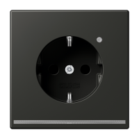 Jung AL 1520-O AN LNW SCHUKO®-розетка 16 A / 250 B ~