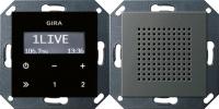 Gira 2280600 Радио скрытого монтажа RDS с громкоговорителемНакладка управления с внешним видом "черное стекло", System 55
