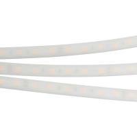 Arlight 016171(2) Светодиодная лента герметичная RTW-PW-B60-13mm 24V Warm2700 (14.4 W/m, IP66, 5060, 5m) (Arlight, -)