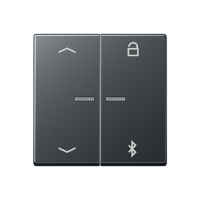 Jung A 1751 BFPBT ANM Таймер универсальный Bluetooth «стрелки»