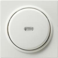 Gira 012240 Кнопочный контрольный выключатель 10 AX 250 В~ с накладкой и клавишейВыключатель 2-пол.
