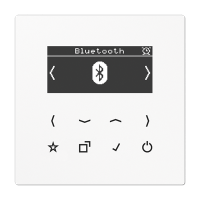 Jung DAB LS BT WW Смарт радио DAB+ Bluetooth