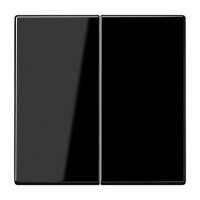 Jung LS 102 SW Kлавиша