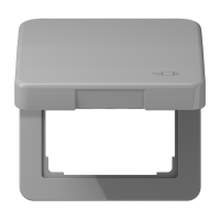 Jung CD 590 KL SOC GR Откидная крышка