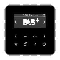 Jung DAB CD SW Смарт радио DAB+