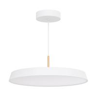Arlight 033924 Светильник SP-ELEGANT-R500-37W Day4000 (WH, 120 deg, 230V) (Arlight, IP20 Металл, 3 года)