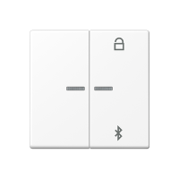 Jung A 1751 BFBT WWM Таймер универсальный Bluetooth