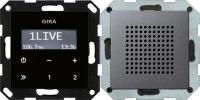 Gira 228028 Радио скрытого монтажа RDS с громкоговорителемНакладка управления с внешним видом "черное стекло", System 55
