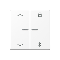 Jung A 1751 BFPBT WWM Таймер универсальный Bluetooth «стрелки»