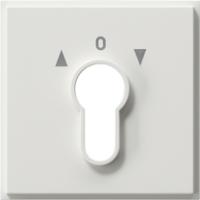 Gira 0664 66 Накладка для замкового выключателя и замкового кнопочного выключателя