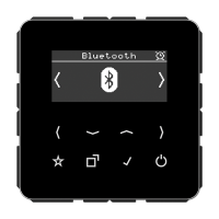 Jung DAB CD BT SW Смарт радио DAB+ Bluetooth