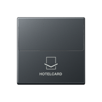 Jung A 590 CARD ANM Накладка карточного выключателя (без механизма)