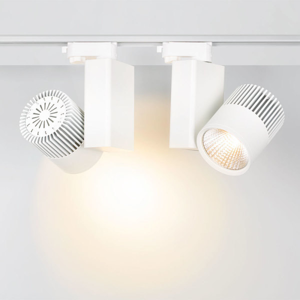 Оборудование Arlight 022055 Светодиодный светильник LGD-2271WH-2x30W-4TR Warm White 24deg (ARL, IP20 Металл, 3 года) по выгодной цене. Купить в Москве со скидкой.