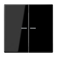 Jung LS 102 KO5 SW Клавиша с окошком