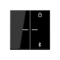 Jung A 1751 BFBT SW Таймер универсальный Bluetooth