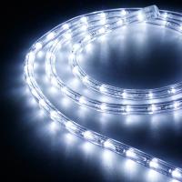 Arlight 026669 Образец Дюралайт ARD-REG-STD Cool (220V, 36 LED/m, 2m) (ARDCL, Закрытый)
