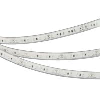 Arlight 032079 Светодиодная лента RTW-5000PU-2835-120 24V Blue (10.5mm, 14.4W, IP68) (Arlight, Закрытый)