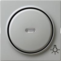 Gira 028542 Накладка с символом и клавиша с контрольным окошкомСвет