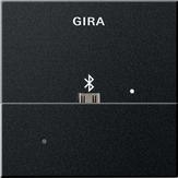 Gira 2285 005 Накладка USB-микро-B для вставки док-станции