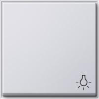 Gira 028566 Клавиша с символомСвет