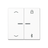 Jung A 1751 PBT WW Таймер универсальный Bluetooth «стрелки»