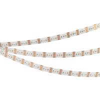 Arlight 033437 Светодиодная лента SPI-B60-10mm 12V RGB-PX1-RAM (9.3 W/m, IP20, 5060, 5m) (Arlight, бегущий огонь)