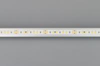 Arlight 038171 Светодиодная лента FITOLUX-SE-A144-10mm 24V Day5000-Red (14 W/m, IP65, 2835, 5m) (Arlight, 14 Вт/м, IP65)