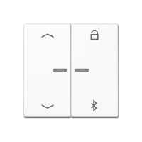 Jung A 1751 BFPBT WW Таймер универсальный Bluetooth «стрелки»