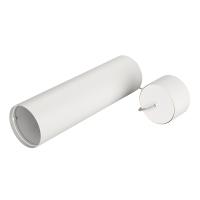 Arlight 024237 Корпус SP-POLO-HANG-LONG300-R85 (WH, 1-3, 350mA) (Arlight, IP20 Металл, 3 года)