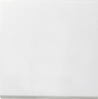 Gira 0127112 Кнопочный выключатель 10 AX 250 В~ с клавишейПерекрестный выключатель