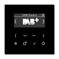 Jung DAB LS SW Смарт радио DAB+