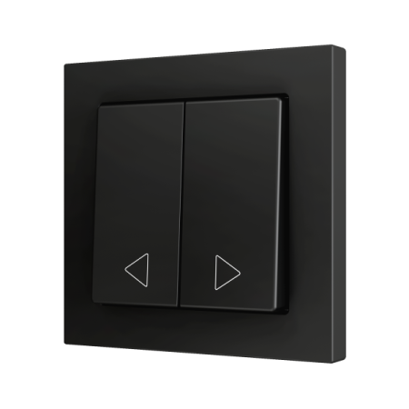 Zennio ZS552PB2AC ZS55, Двойная мягкая кнопка для 2 бинарных входов 55x55 мм – цвет антрацит – на заказ