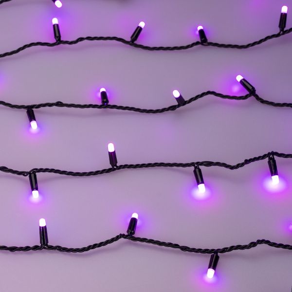 Оборудование Arlight 031746 Светодиодная гирлянда ARD-STRING-CLASSIC-10000-BLACK-100LED-MILK-LIVE RGB-DMX (24V, 10W) (Ardecoled, IP65) по выгодной цене. Купить в Москве со скидкой.