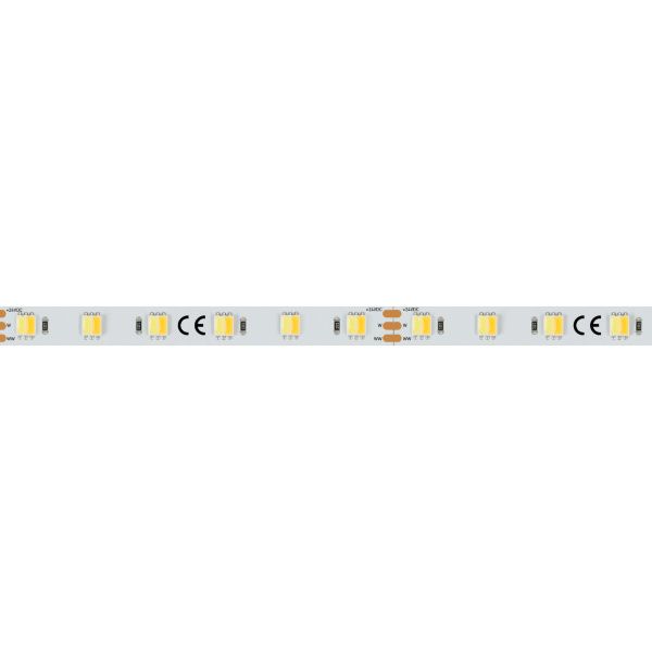 Оборудование Arlight 025214 Светодиодная лента RT 6-5000 24V White-MIX-One 2x (5060, 60 LED/m, LUX) (Arlight, 14.4 Вт/м, IP20) по выгодной цене. Купить в Москве со скидкой.