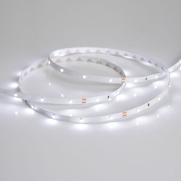 Оборудование Arlight 019917(B) Светодиодная лента RT 2-5000 24V White6000 0.5x (3528, 150 LED, LUX) (Arlight, 2.9 Вт/м, IP20) по выгодной цене. Купить в Москве со скидкой.