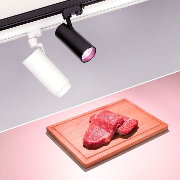Оборудование Arlight 032470 Светильник LGD-GERA-4TR-R74-20W Warm SP2900-Meat (BK, 24 deg, 230V) (Arlight, IP20 Металл, 3 года) по выгодной цене. Купить в Москве со скидкой.
