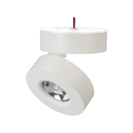 Arlight 025439(1) Светильник SP-MONA-SURFACE-R100-12W Day4000 (WH, 24 deg) (Arlight, IP40 Металл, 3 года)