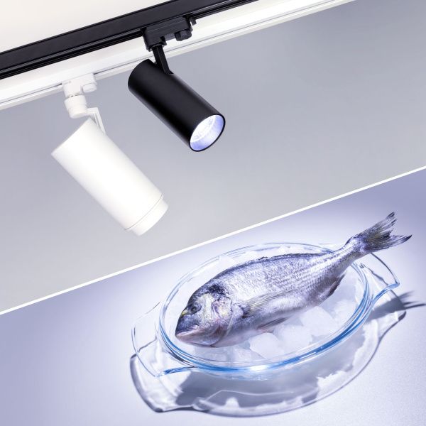 Оборудование Arlight 032472 Светильник LGD-GERA-4TR-R90-30W Cool SP7500-Fish (WH, 24 deg, 230V) (Arlight, IP20 Металл, 3 года) по выгодной цене. Купить в Москве со скидкой.