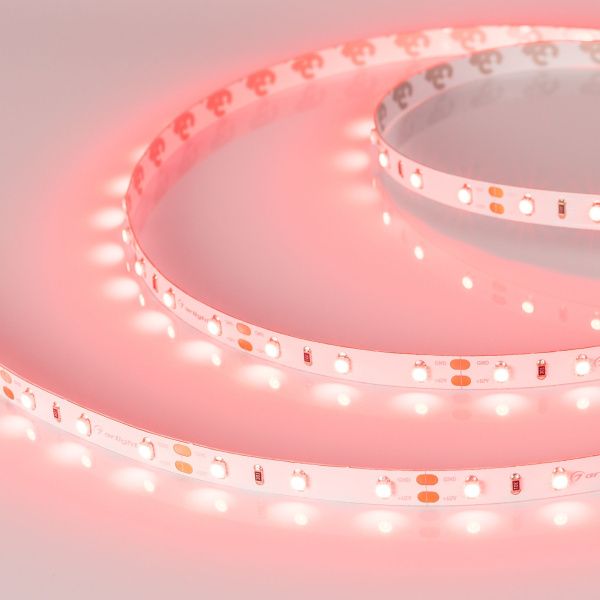 Оборудование Arlight 010526(1) Светодиодная лента RT 2-5000 12V Red (3528, 300 LED, LUX) (Arlight, 4.8 Вт/м, IP20) по выгодной цене. Купить в Москве со скидкой.