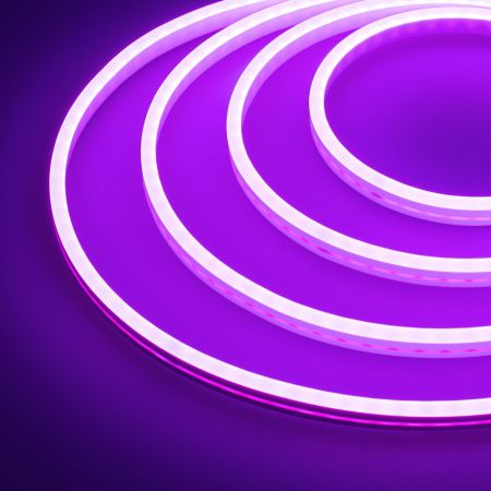 Оборудование Arlight 030965 Образец Гибкий неон GALAXY-1206-5000CFS-2835-100 12V Purple 0.5M (12x6mm, 12W, IP67) (Arlight, 12 Вт/м, IP67) по выгодной цене. Купить в Москве со скидкой.