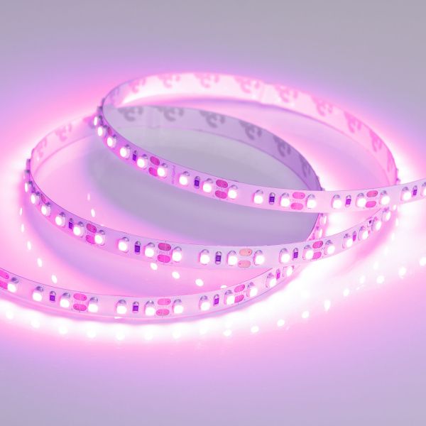 Оборудование Arlight 015897(2) Светодиодная лента RT-A120-8mm 12V Pink (9.6 W/m, IP20, 2835, 5m) (Arlight, Открытый) по выгодной цене. Купить в Москве со скидкой.