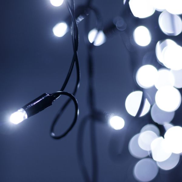 Оборудование Arlight 034113 Светодиодная гирлянда ARD-EDGE-PRO-5600x900-BLACK-240LED-MILK-STD White (230V, 15W) (Ardecoled, IP65) по выгодной цене. Купить в Москве со скидкой.
