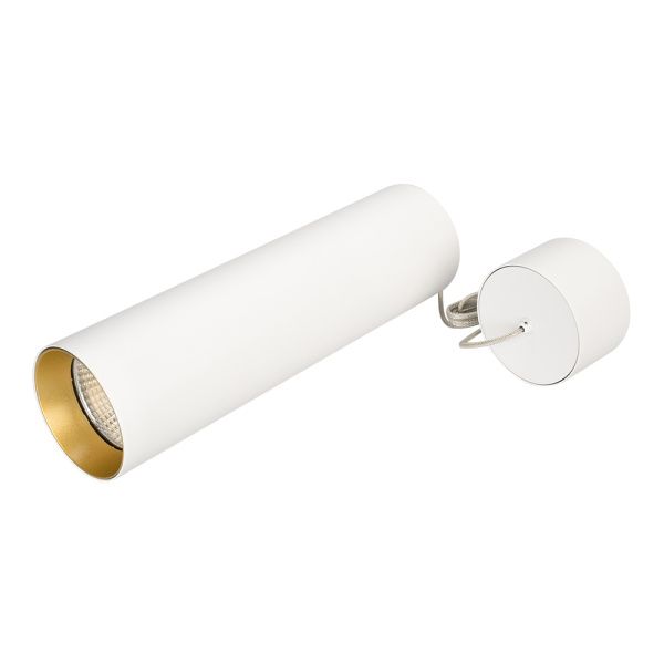 Оборудование Arlight 024237 Корпус SP-POLO-HANG-LONG300-R85 (WH, 1-3, 350mA) (Arlight, IP20 Металл, 3 года) по выгодной цене. Купить в Москве со скидкой.