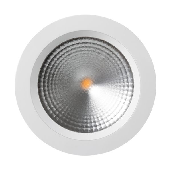 Оборудование Arlight 021069 Светодиодный светильник LTD-187WH-FROST-21W Warm White 110deg (Arlight, IP44 Металл, 3 года) по выгодной цене. Купить в Москве со скидкой.